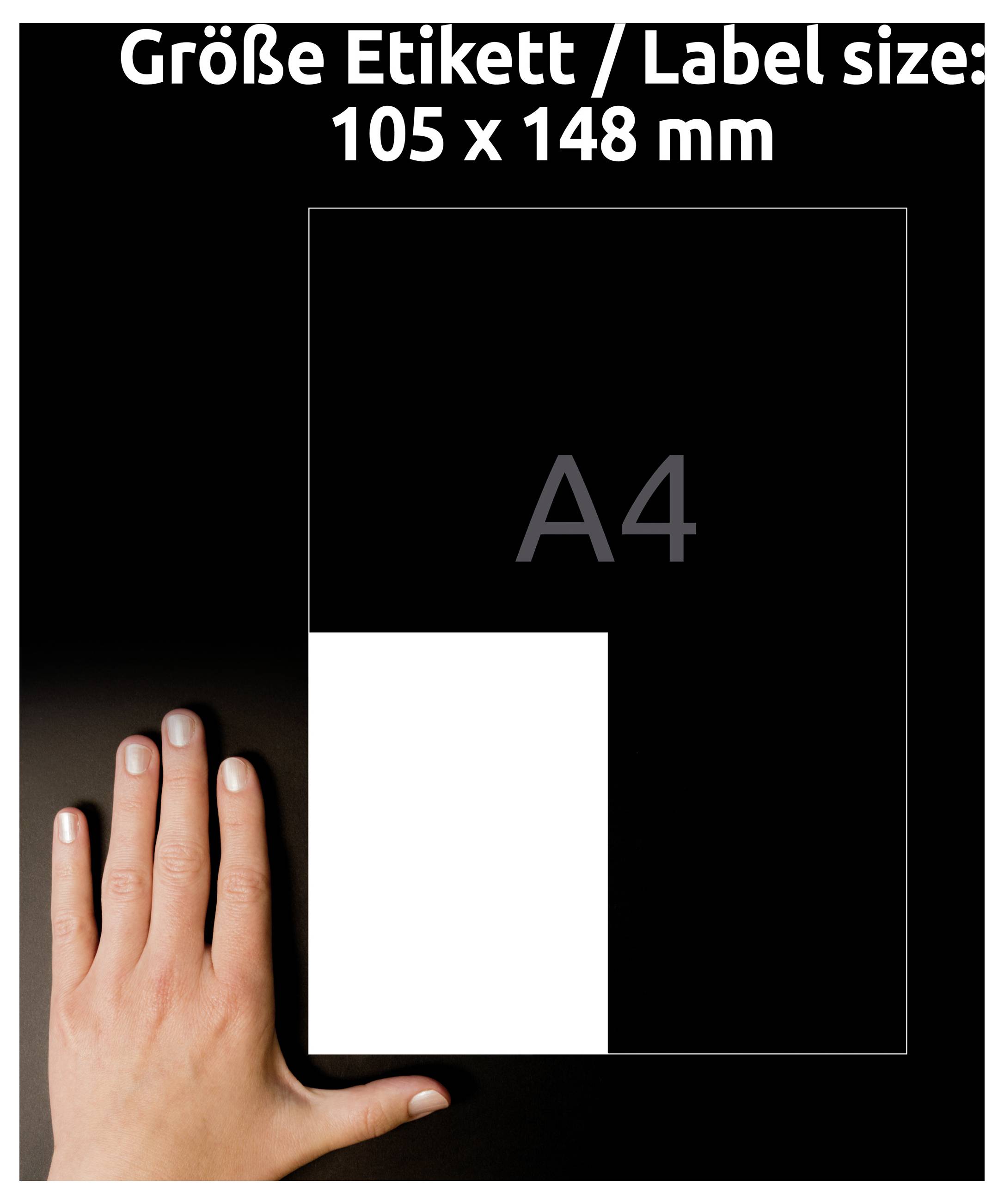 Una mano accanto a una guida vuota per le dimensioni di etichette formato A4 che mostra 'Größe Etikett / Label size: 105 x 148 mm' e il contorno A4 per la scala.
