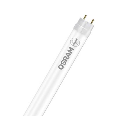 Tubo di luce fluorescente OSRAM con base a due piedini, mostrato su uno sfondo bianco.