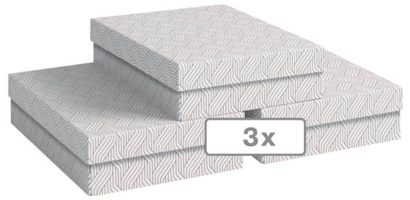 Moderno ufficio open-plan con scrivanie condivise, sedie ergonomiche, ampie finestre, piante da interno e armadi di stoccaggio.