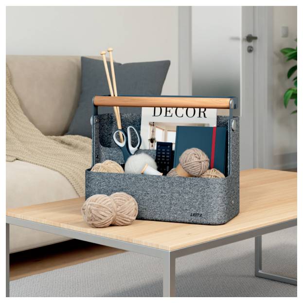 Leitz Organizzatore da scrivania Grigio 6199-00-89-9