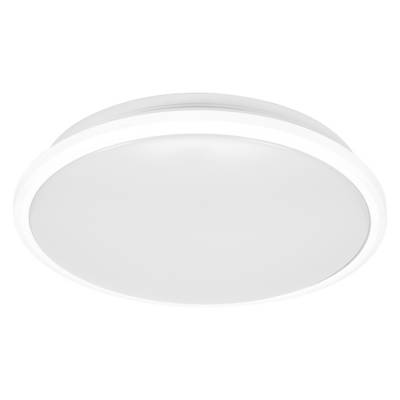 Plafoniera da soffitto di forma ovale bianca su uno sfondo neutro.