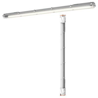 OSRAM Damp Proof Value 120cm 1X16W 840 Lampada LED impermeabile LED (monocolore) 16 W Bianco freddo Bianco-1