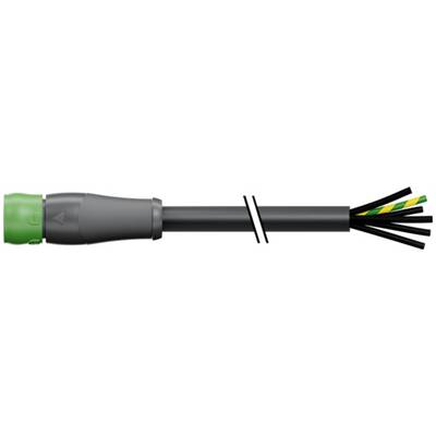 Illustrazione di un cavo in fibra ottica nera con un connettore verde e i filamenti interni colorati esposti all'estremità tagliata.