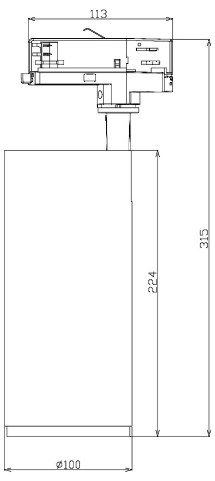 Disegno tecnico quotato di un dispositivo cilindrico verticale con testa montata in alto, che indica altezza complessiva 315, altezza interna 224, larghezza superiore 113 e diametro della base 100.