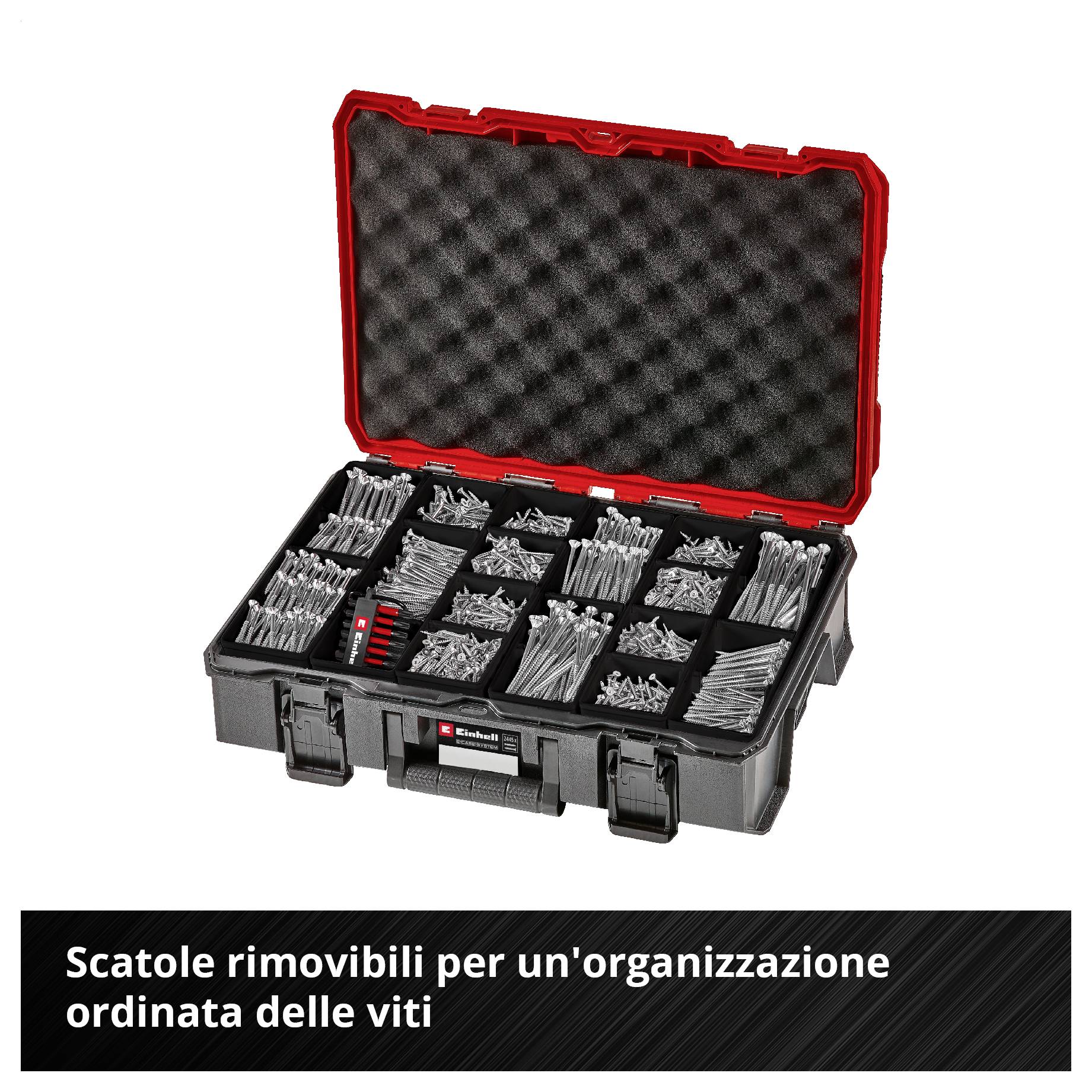 Cassetta degli attrezzi aperta con molte viti assortite in scomparti rimovibili; Testo: 'I cassetti rimovibili garantiscono un'organizzazione ordinata delle viti'