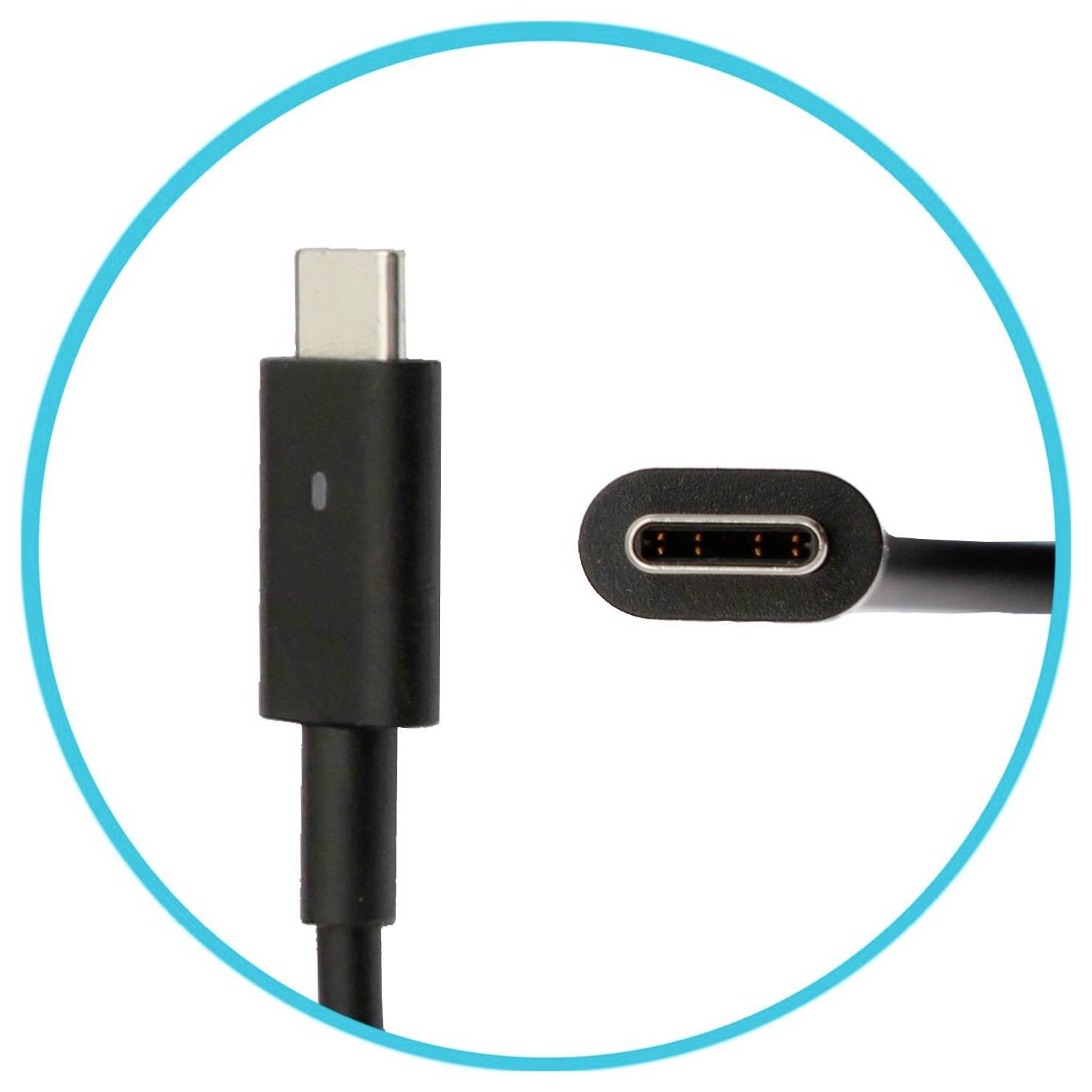 Connettore cavo USB-C mostrato nelle viste frontale e laterale all'interno di un cerchio blu su sfondo bianco.