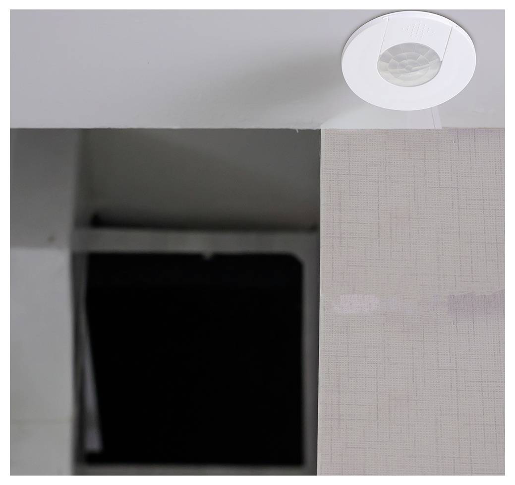 Luce da incasso sul soffitto sopra un'apertura di porta scura accanto a un pannello di parete texture.