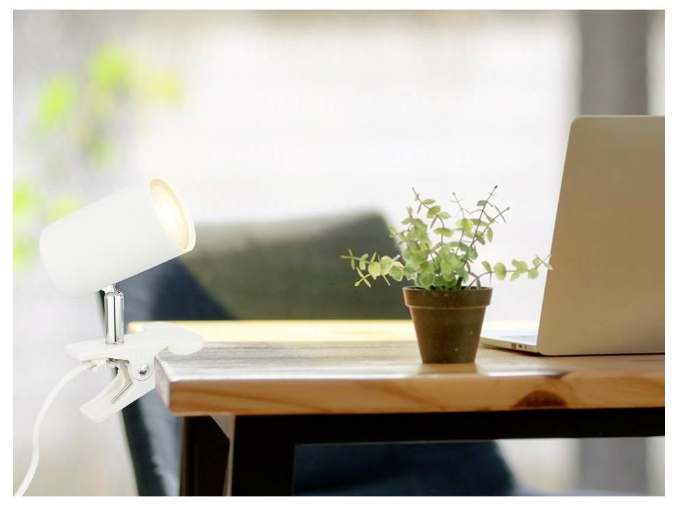 Scrivania con una piccola pianta in vaso, una lampada a pinza accesa e un laptop aperto in un luminoso ufficio domestico.