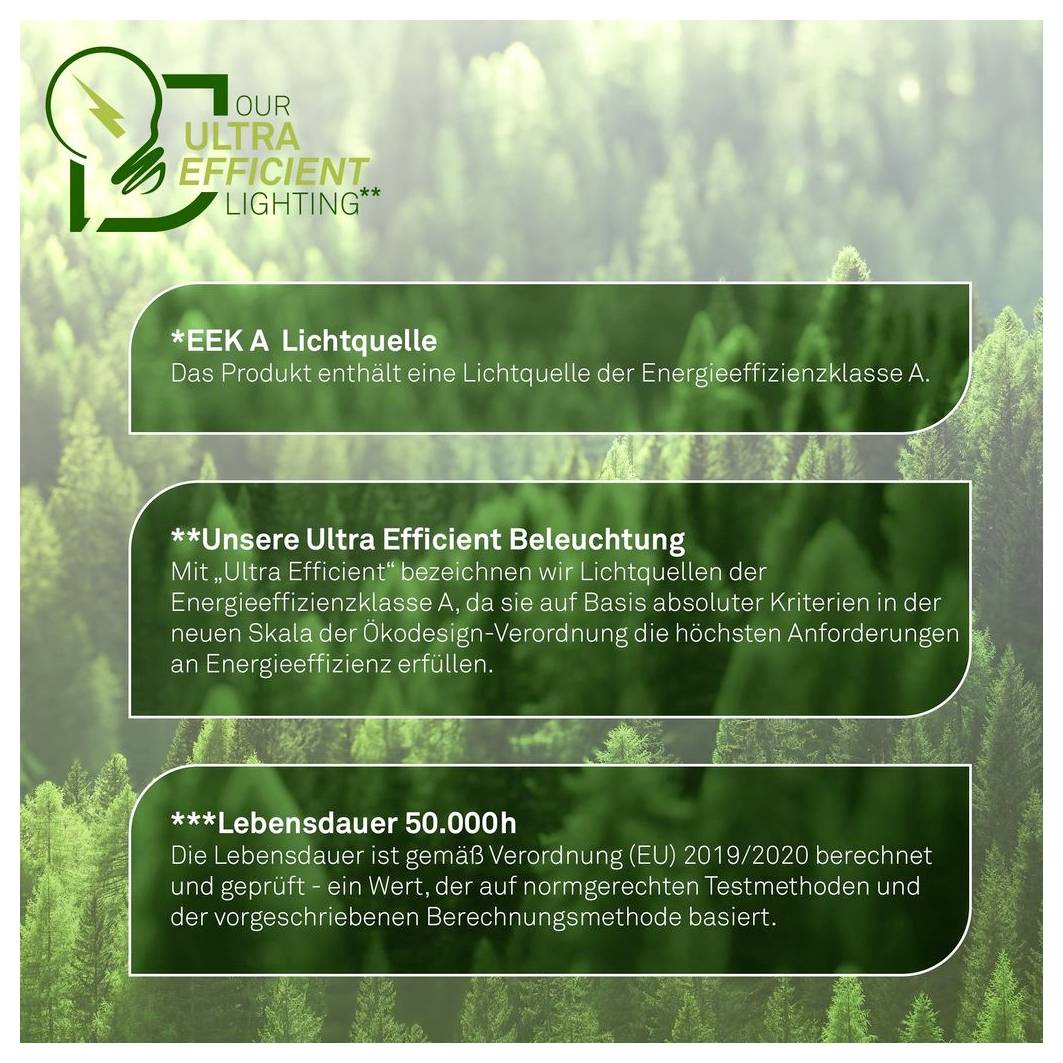Poster a tema ecologico con logo e tre caselle di testo tedesche che promuovono "La nostra illuminazione ultra efficiente", una fonte luminosa ad efficienza energetica e una durata di vita di 50.000 ore.