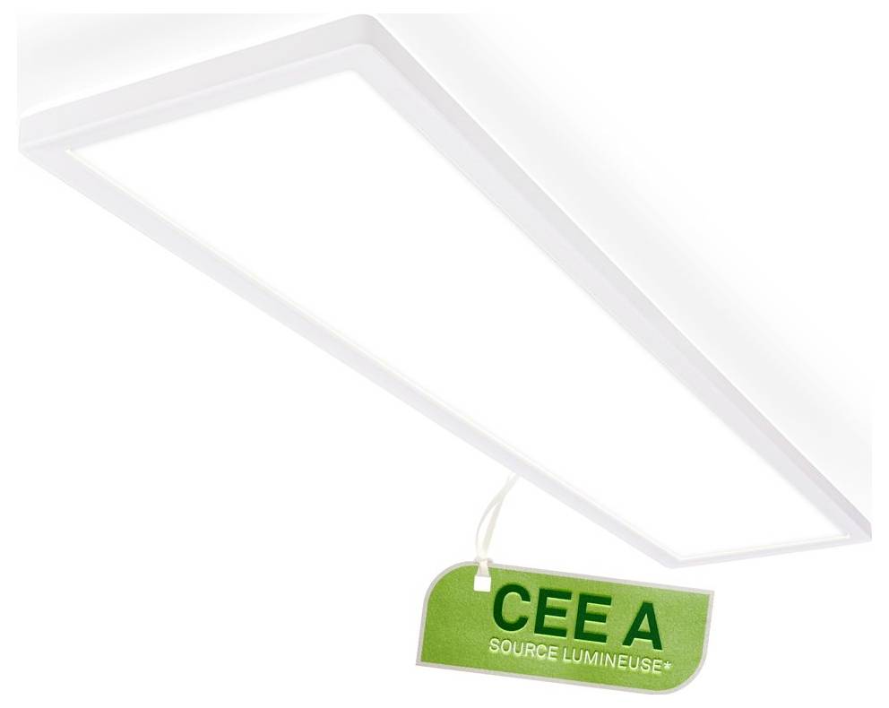 Un sottile pannello di illuminazione da soffitto rettangolare con un'etichetta verde etichettata "CEE A" e "SOURCE LUMINEUSE".
