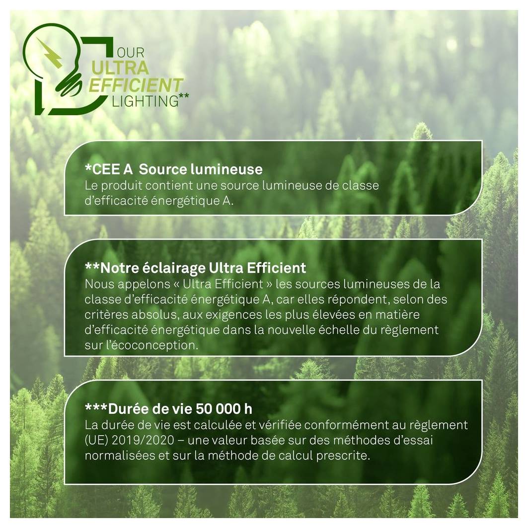 Grafica promozionale a tema ecologico per "La Nostra Illuminazione Ultra Efficiente" con tre caselle di testo in francese che spiegano la sorgente luminosa di classe A, l'illuminazione ultra efficiente e la durata di vita di 50.000 ore.