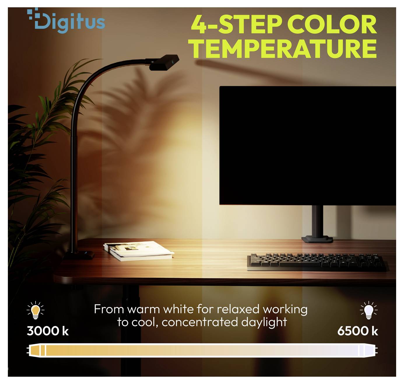 Infografica di una lampada da tavolo e un monitor che mostrano la temperatura del colore in 4 fasi, da bianco caldo per il lavoro rilassato a luce diurna fredda, da 3000 K a 6500 K.