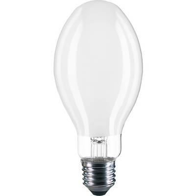Una lampadina allungata e trasparente con una base a vite metallica su uno sfondo bianco.
