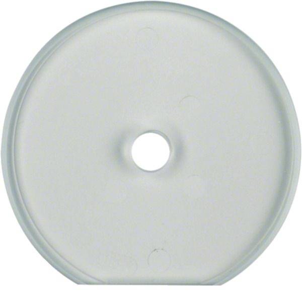 Hager Coperchio Placca di copertura Trasparente WTD7671GT 1 pz.