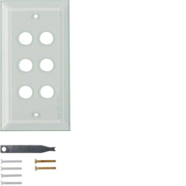 Hager Coperchio Placca di copertura Trasparente WZD6600GT 1 pz.