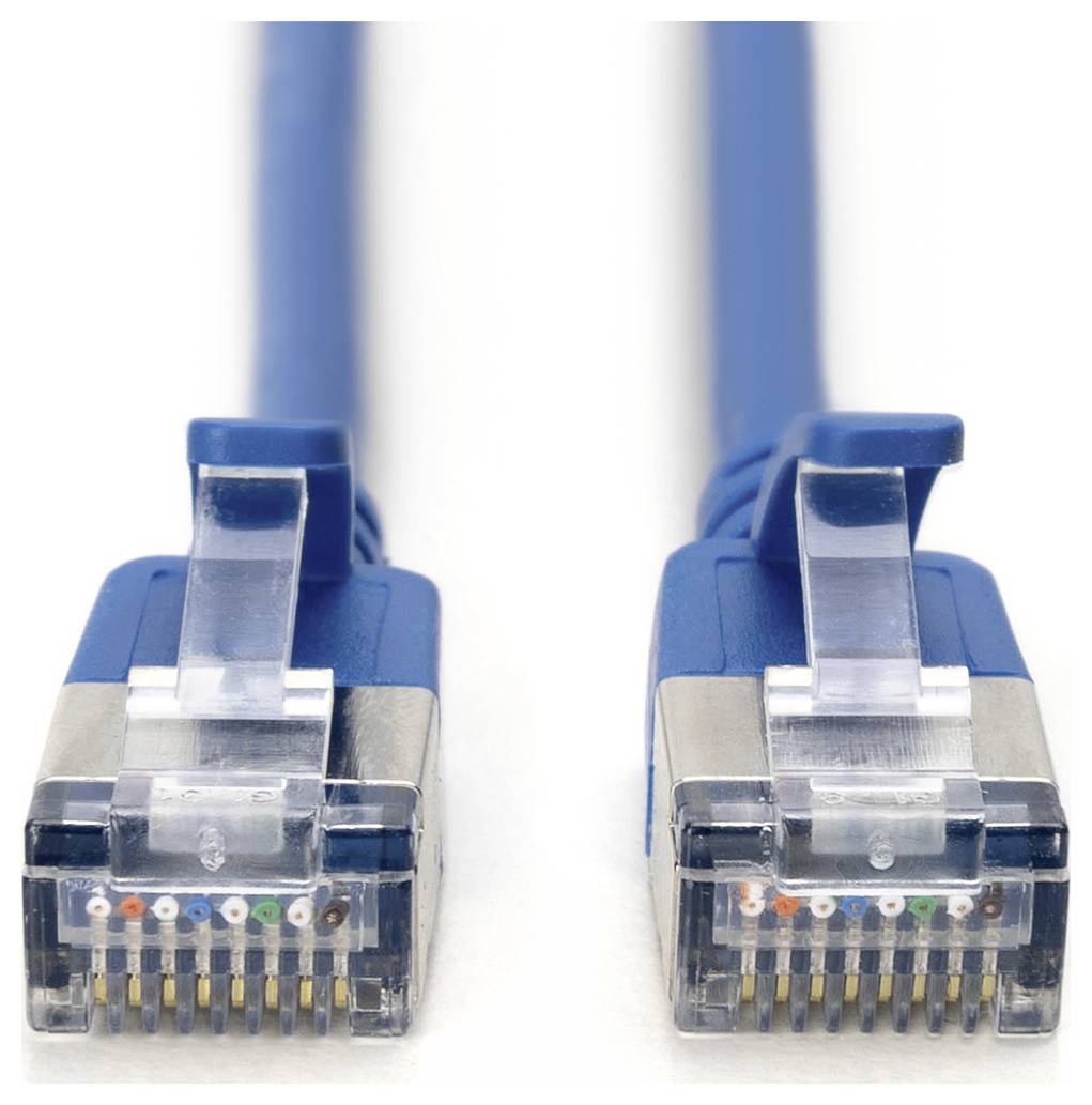 Due connettori di cavo Ethernet blu mostrati uno accanto all'altro su uno sfondo bianco.