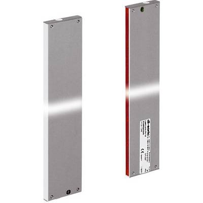 Due circuiti rettangolari di contenitori di sensori metallici mostrati nelle viste frontali e laterali, uno con una striscia laterale rossa e un'etichetta.