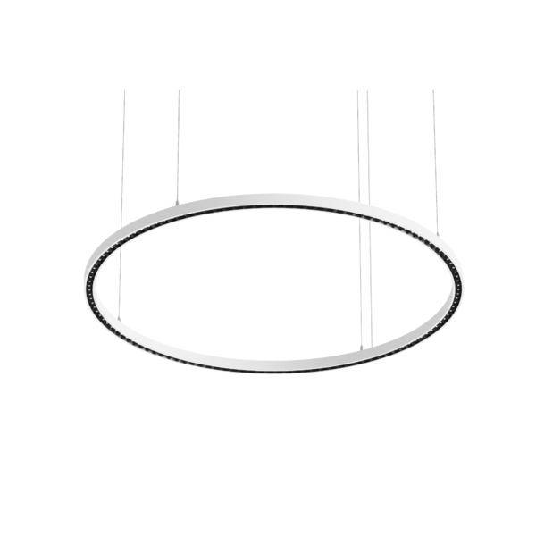 Un moderno anello ovale di luce a sospensione pende da sottili cavi su uno sfondo bianco.