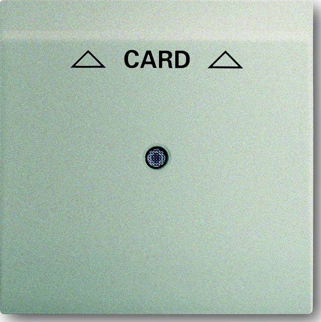 Busch-Jaeger Nero 2CKA001753A6737 1 pz.-0