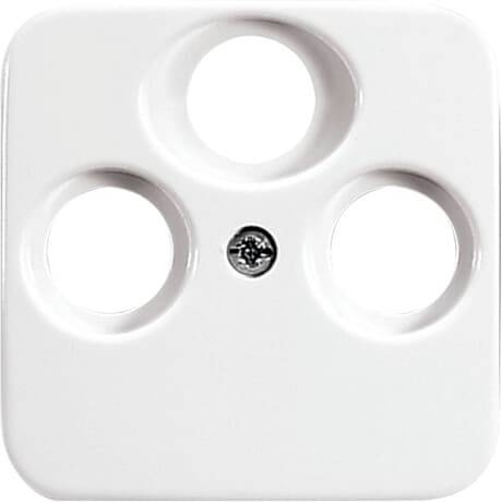 Busch-Jaeger Cromo 2CKA001724A1754 1 pz.-0