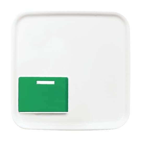 Busch-Jaeger Nero 2CKA001724A4423 1 pz.-0
