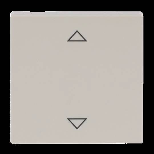 Busch-Jaeger Avorio, Bianco 2CKA001751A3100 1 pz.-0