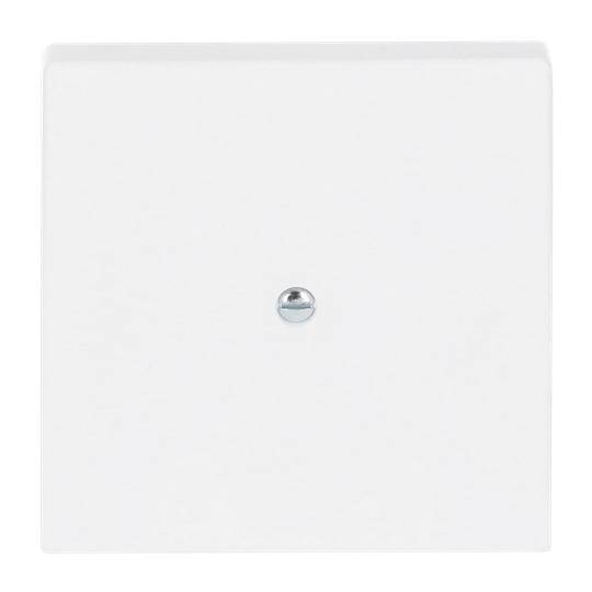 Busch-Jaeger Bianco studio (simile a RAL 9016) 2CKA001710A3874 1 pz.-0