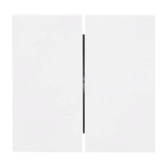 Busch-Jaeger Antracite 2CKA001751A3385 1 pz.-0