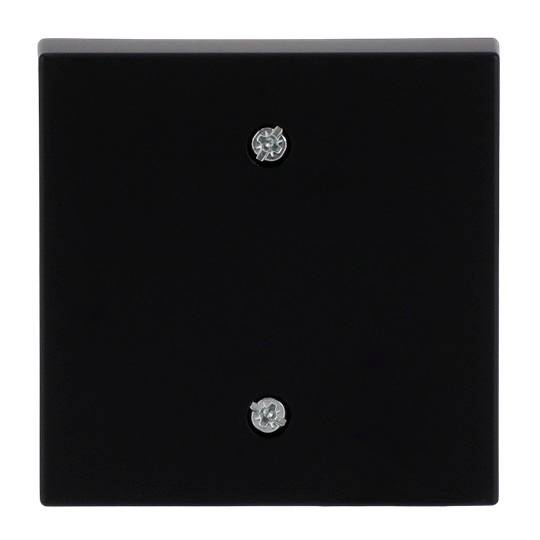 Busch-Jaeger Nero 2CKA001753A0314 1 pz.-0