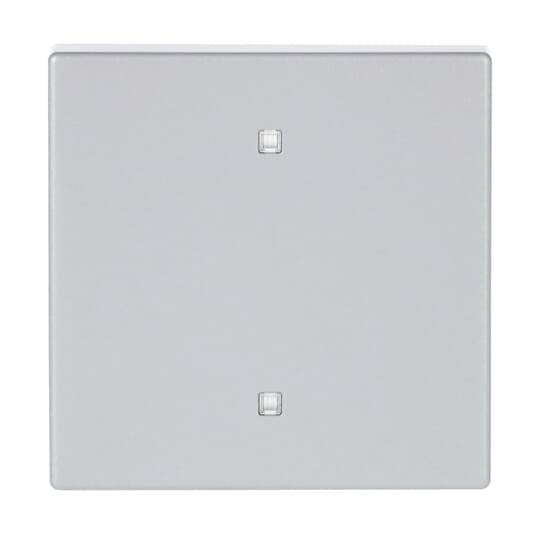 Busch-Jaeger Grigio 2CKA001751A3259 1 pz.-0