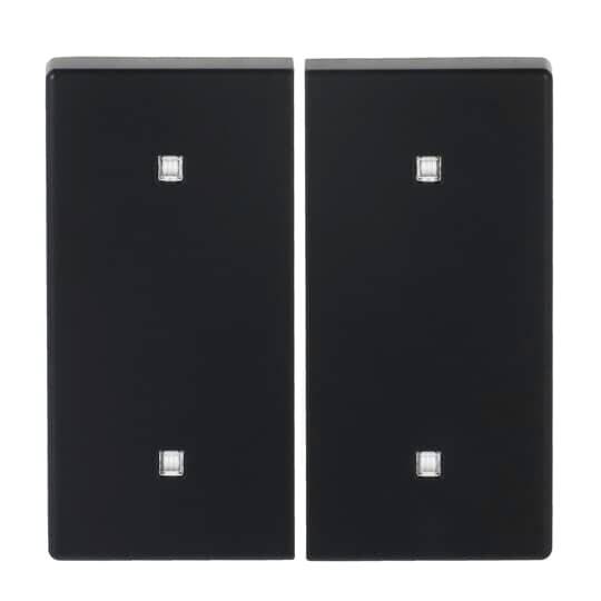 Busch-Jaeger Nero 2CKA001751A3273 1 pz.-0