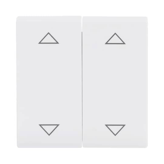 Busch-Jaeger Antracite 2CKA001751A3099 1 pz.-0