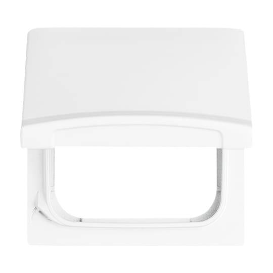 Busch-Jaeger Argento 2CKA001710A1860 1 pz.
