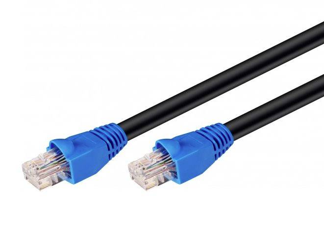 Due cavi Ethernet neri con connettori RJ45 blu su uno sfondo bianco.