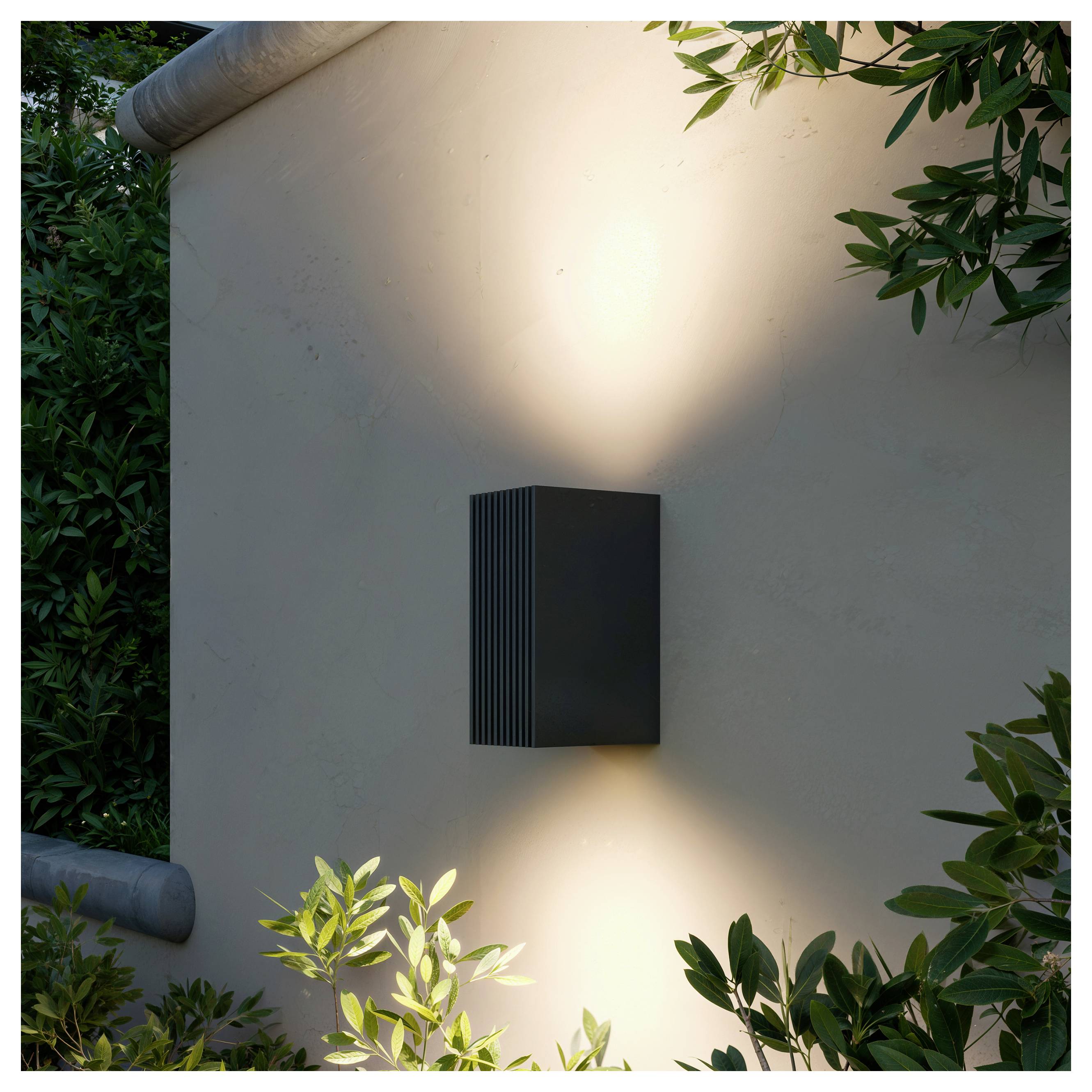 Apparecchio di illuminazione esterno montato a parete nera che proietta una luce calda verso l'alto e verso il basso su una parete beige, incorniciato dalla vegetazione circostante.