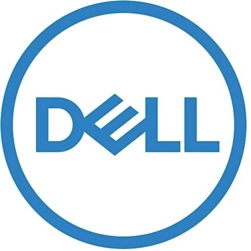 Logo Blue Dell all'interno di una cornice circolare blu su sfondo bianco.