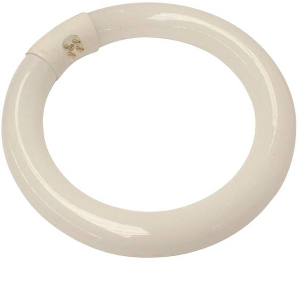 Lampade tecniche e lenti da laboratorio - tubo fluorescente ad anello Classe energetica: B (A++ - E) - Lampade tecniche e lenti da laboratorio - tubo fluorescente ad anello Classe energetica: B (A++ - E) -