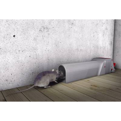 Acquista Swissinno No See No Touch Trappola Per I Topi Principio Di Funzionamento Adesivo 1 Pz. Da - Foto 3