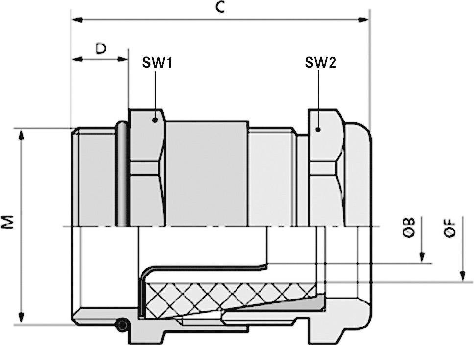 Disegno tecnico di un componente meccanico con dimensioni e etichette per 'SW1', 'SW2', 'M', 'D', 'C', 'ØB', 'ØF'.