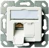 Telegärtner Presa di rete Da incasso Inserto con piastra centrale CAT 6 2 Porte Bianco perla