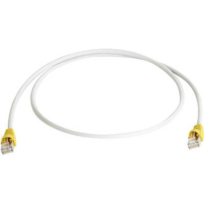 Un cavo Ethernet bianco con connettori gialli alle estremità è disposto a forma ovale.