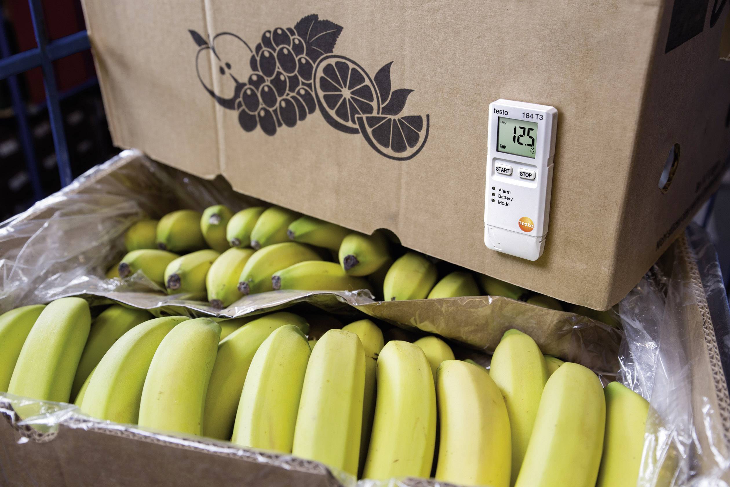 Deposito di banane con scatola aperta, termometro che indica 12,5°C, cartone con illustrazione di frutta.