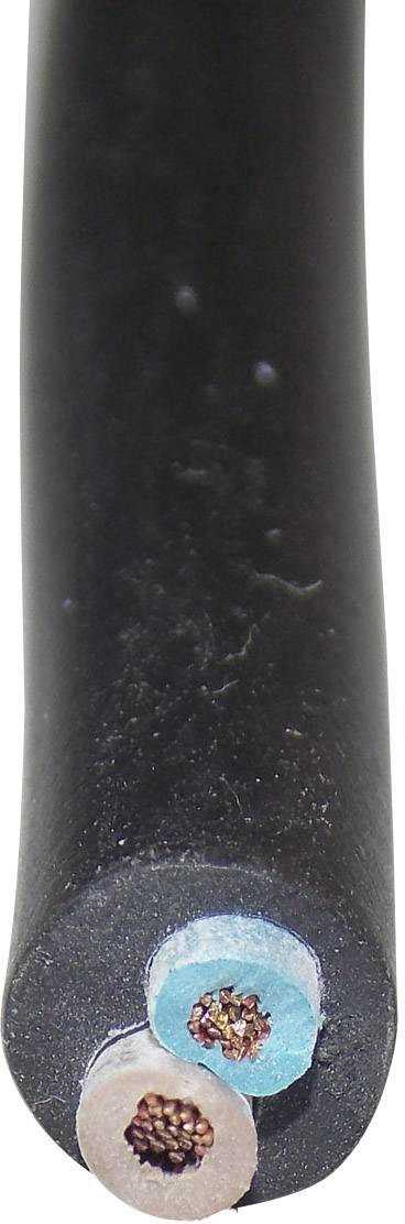 Sezione trasversale di un cavo elettrico con due fili di rame, circondati da isolamento nero.