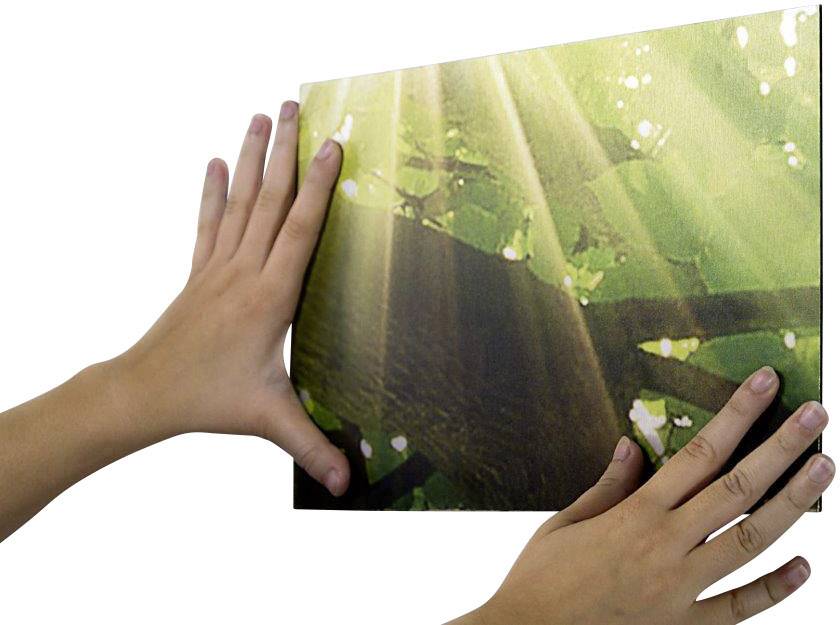 Due mani posizionano un'immagine con raggi di sole che filtrano attraverso foglie verdi su una parete.