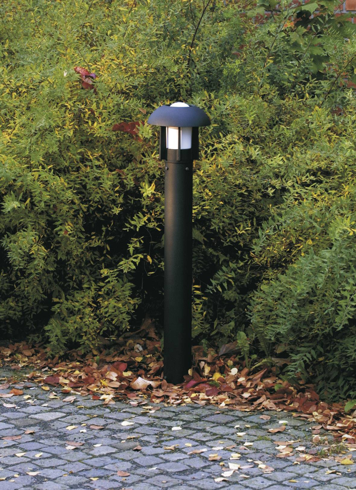Una lampada da giardino nera è posizionata su pietre pavimentali coperte di foglie autunnali, circondata da cespugli verdi e parzialmente gialli.