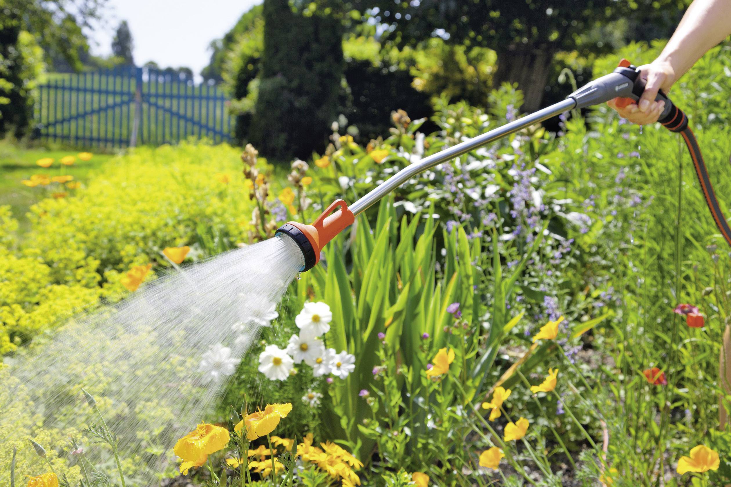 Una persona sta innaffiando un giardino fiorito con fiori colorati in una giornata di sole. Sullo sfondo si trova un recinto di legno.