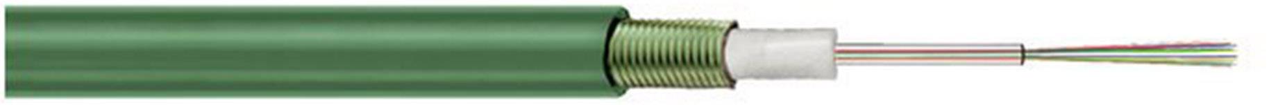 Un cavo in fibra ottica verde con più fibre ottiche nel suo taglio trasversale. Mostra gli strati protettivi e le fibre interne.