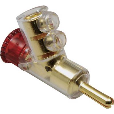 Spina con custodia in plastica trasparente e elemento rosso. Contatti dorati per connessioni elettriche visibili.