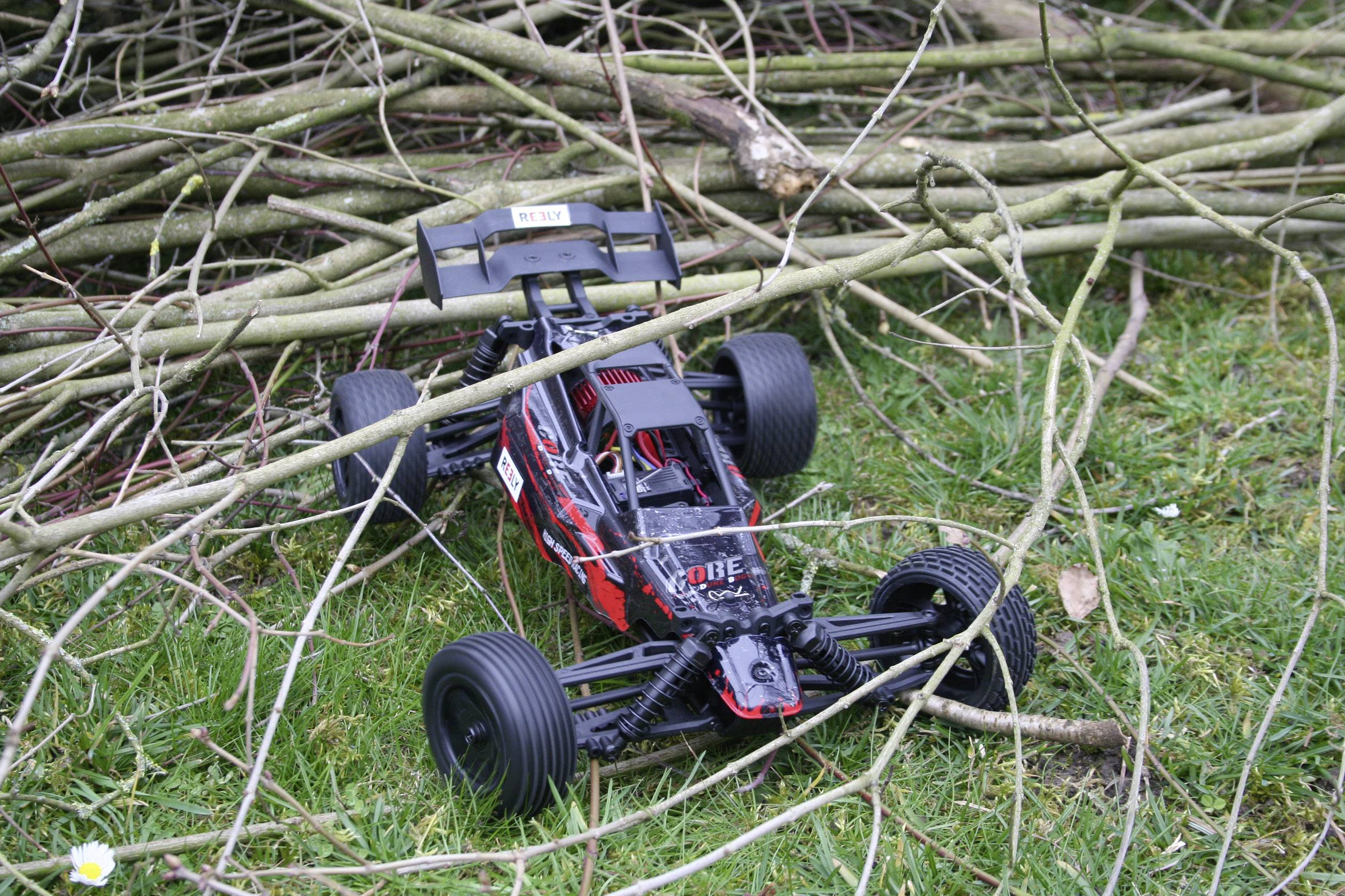 Reely Core Brushed 1:10 XS Automodello Elettrica Buggy 4WD RtR 2,4 GHz-2
