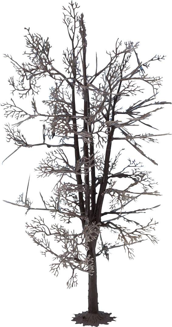 Un albero spoglio senza foglie si erge verticalmente, i suoi rami ramificati sono chiaramente visibili.